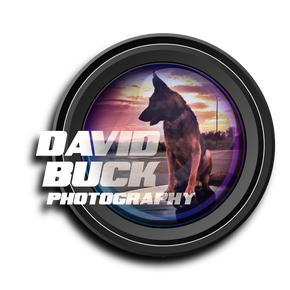 David Buck Photography
